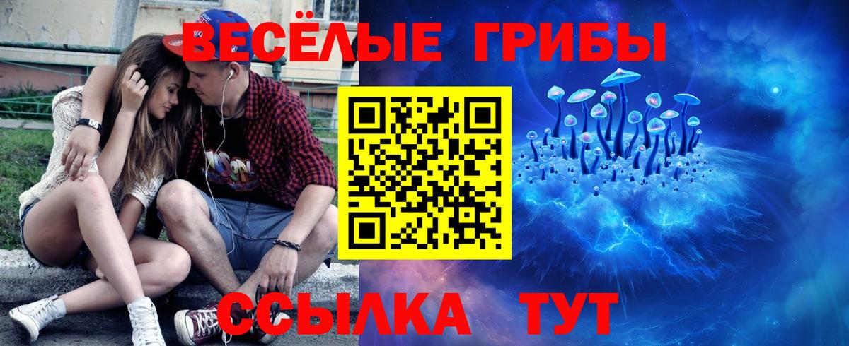 Галлюциногенные грибы Cubensis  купить   Галлюциногенные грибы Magic Shrooms  Арсеньев  Вход с VPN 