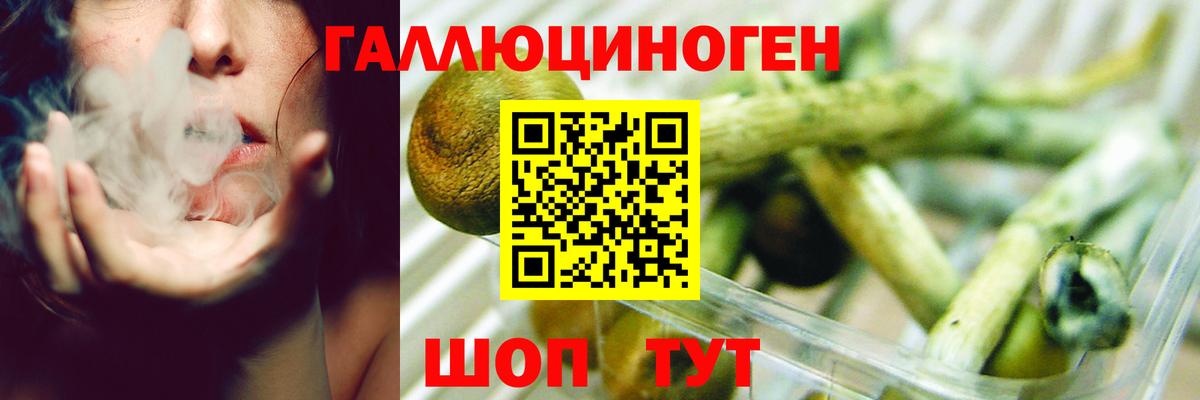 Галлюциногенные грибы мухоморы Арсеньев